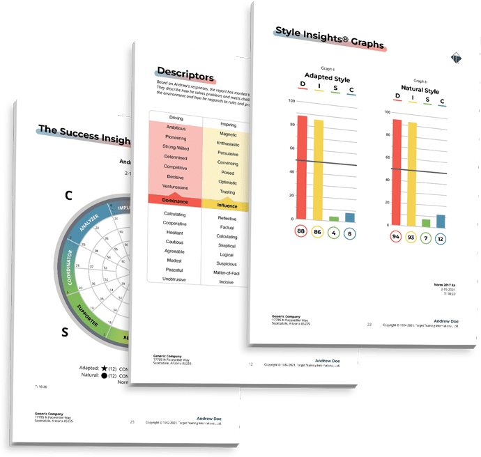 DISC Report Pages