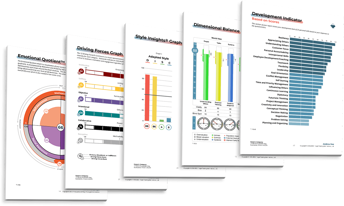 DISC Assessment, TriMetrix HD Assessment and 12 Driving Forces Assessment Samples